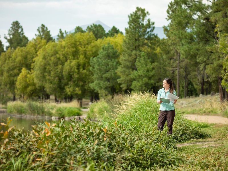 N A U researcher walking on a path through a wooded area with a pond, surrounded by trees with autumn-colored foliage.