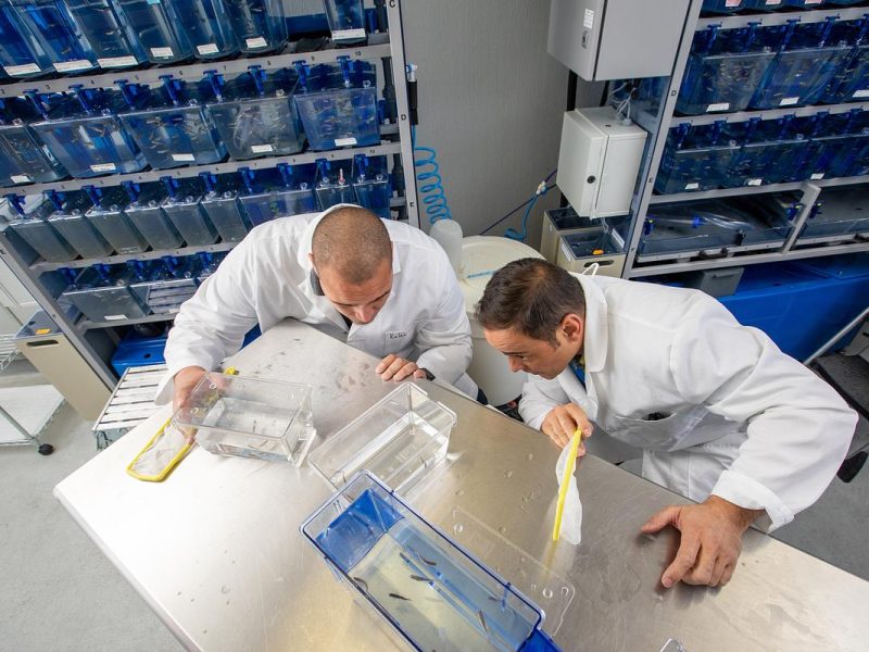 Two individuals wearing white lab coats are examining materials on a table in a laboratory setting. The room appears to have numerous shelves and storage compartments. The individuals are focused on their work, examining what appears to be some type of scientific equipment or materials.