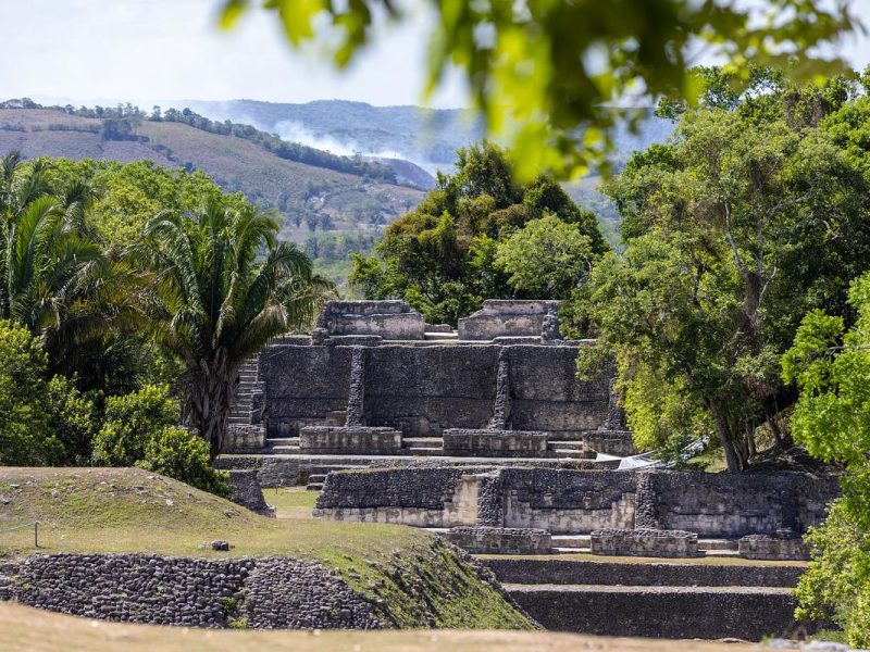 Ruins of an ancient pyramid structure surrounded by lush, verdant foliage and trees. In the background, rolling hills and a distant landscape are visible through the foliage. The ruins appear to be constructed of large, rectangular stone blocks.