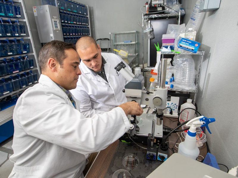 N A U researcher and student wearing white labs coats and working in a lab.