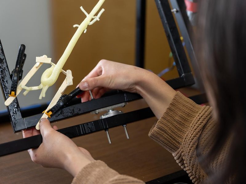 Hands operating a mechanical device with various parts.