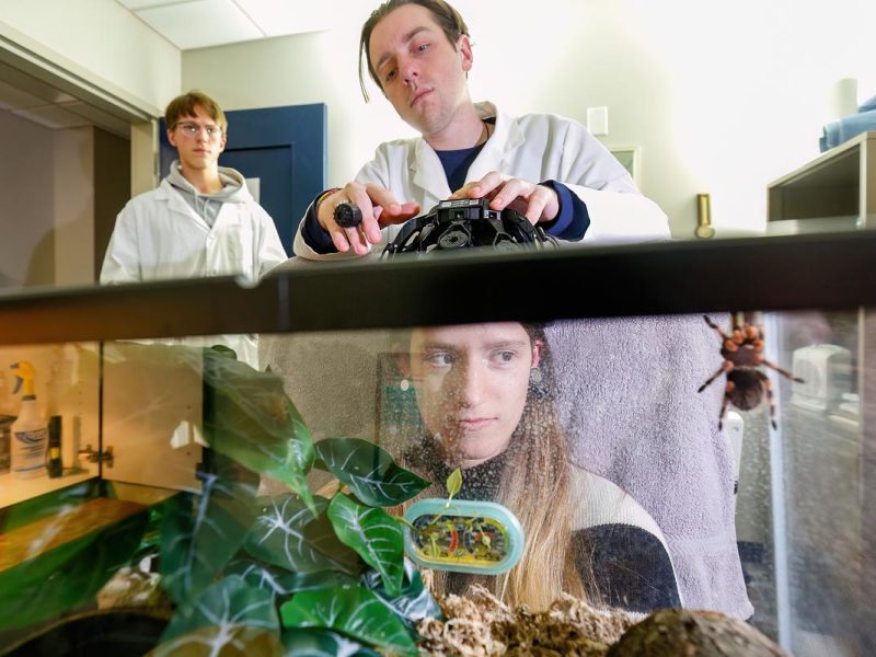 Person staring into an aquarium with a spider in it and being attached to a brain sensor.