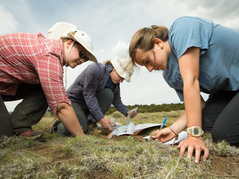 Three people measuring and taking observations of objects in a field.