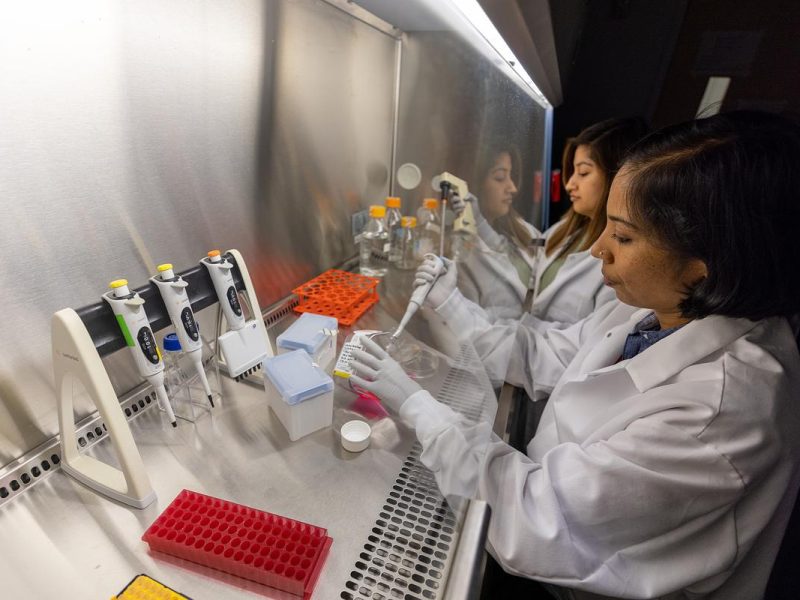 Two people wearing white lab coats and working at a laboratory workstation. There are various scientific equipment and instruments, such as test tubes, racks, and a centrifuge, visible on the workstation.