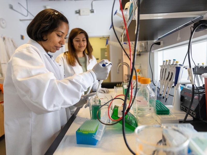 Two individuals wearing white lab coats working in a laboratory setting. They are standing at a counter and appear to be examining or working with various scientific equipment and materials.