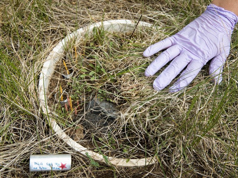 A pot in the ground covered with grass .