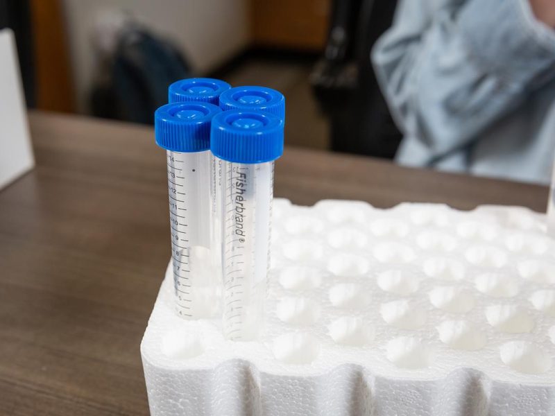Four clear tubes with blue caps sitting in a tray on a table.