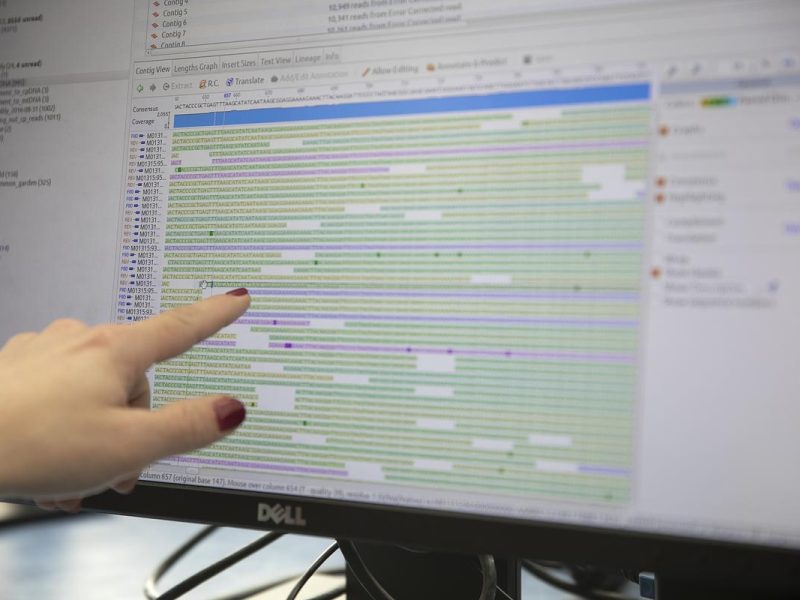 The image shows a person's hand pointing at a computer screen displaying a complex Gantt chart or project management software. The screen is filled with horizontal bars and colored lines representing different tasks, timelines, and project phases. No individuals are identified in the image.