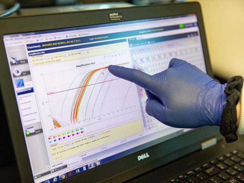 Computer screen with a hand wearing a purple glove pointing to a line on the screen.