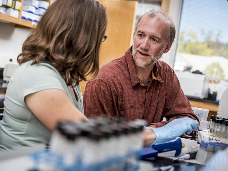 Two people sitting and talking. They are doing work on the table in a lab.