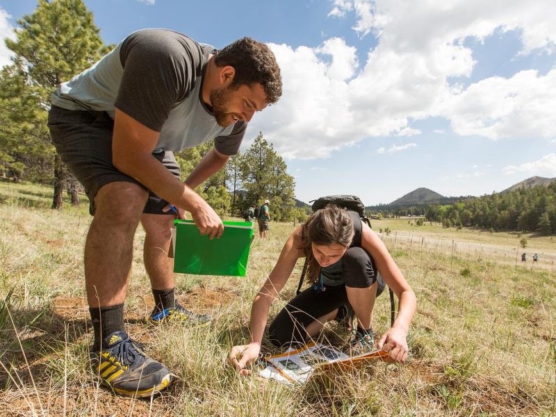 Two people conducting field research. One is on the ground viewing a book and the other is looking down at the information. They are in a grass field with pine trees in the background.