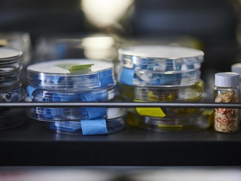 Stack of circular clear containers stacked up and secured with blue tape.