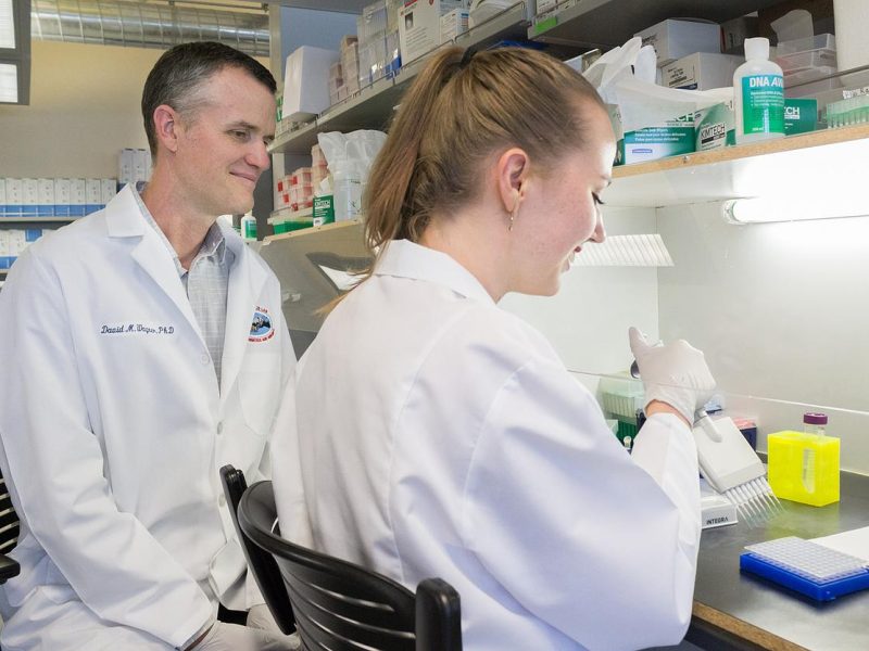 Researcher working with a student in a lab environment.