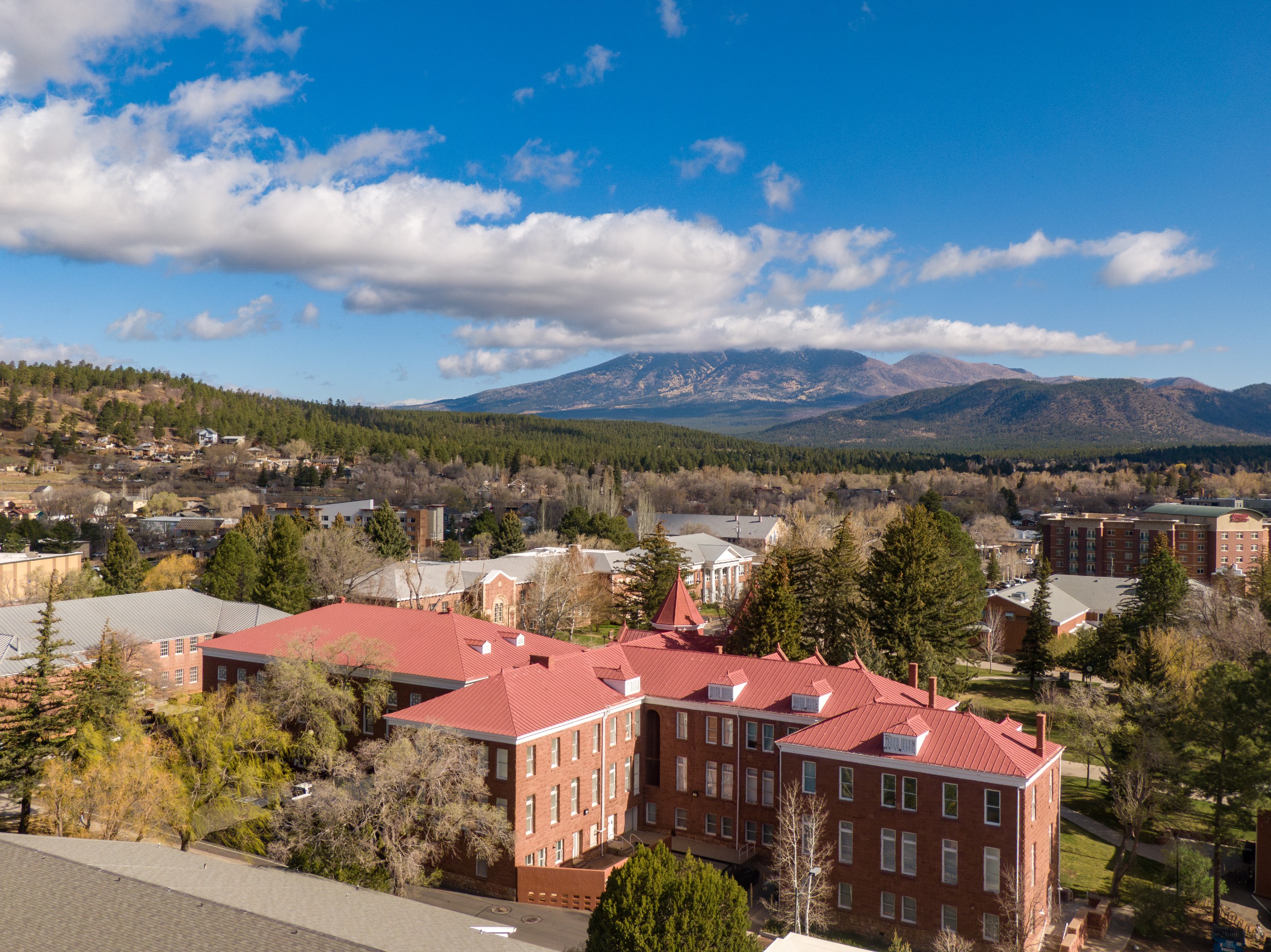 NSF sexual harassment reporting process - NAU Research