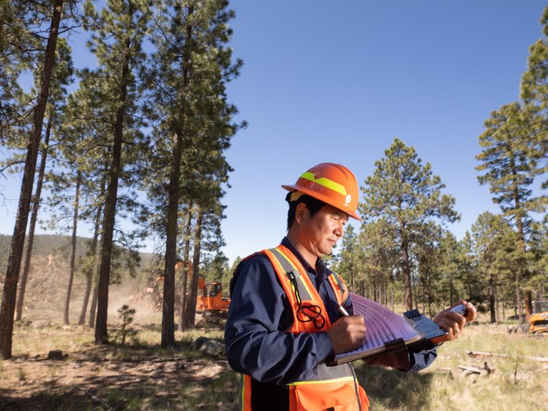 Researcher wearing a hard hat and reflective safety vest holding digital device in forested area surrounded by pine trees.