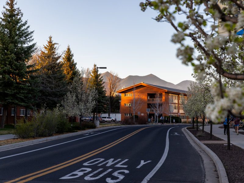 N A U campus on Beaver street. An orange-brown wooden building sits on the right side with mountains in the background. Evergreen and autumn-colored trees line the road. A sidewalk runs parallel to the road with blooming white flowers in the foreground. Yellow center line markings divide the bus lane.
