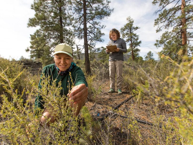 Two people outdoors in a wooded area. One person is crouching on the ground examining plants, while the other stands in the background holding a notebook.