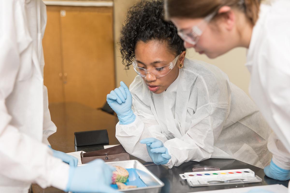 A person wearing a white lab coat and blue gloves, examining something on a table using a tool. There is a small container or sample on the table in front of them.