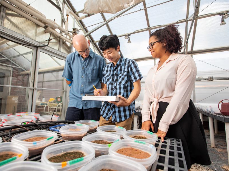 Three people standing in a greenhouse-like structure, examining various potted plants and containers. There are displays of soil samples or other gardening materials visible on the table in front of them.