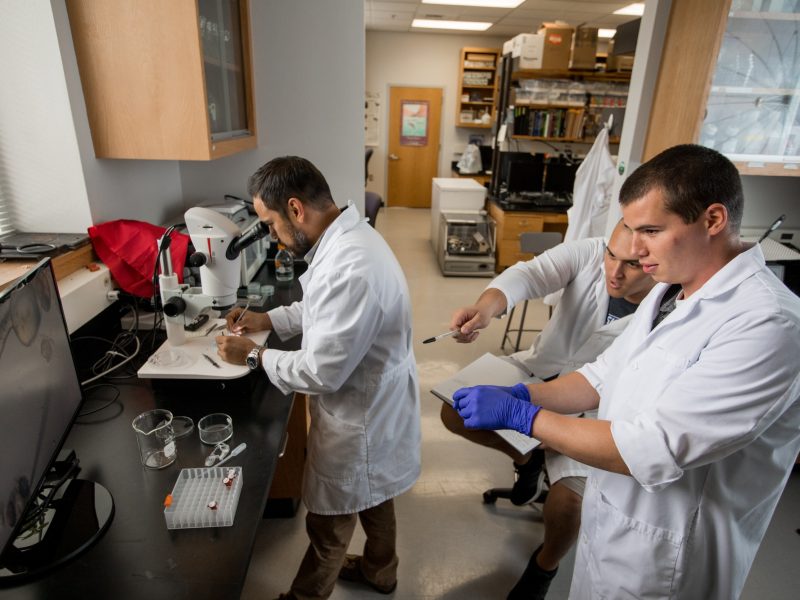 Three individuals in white lab coats working at a laboratory bench, conducting scientific experiments or analysis using various equipment and tools.
