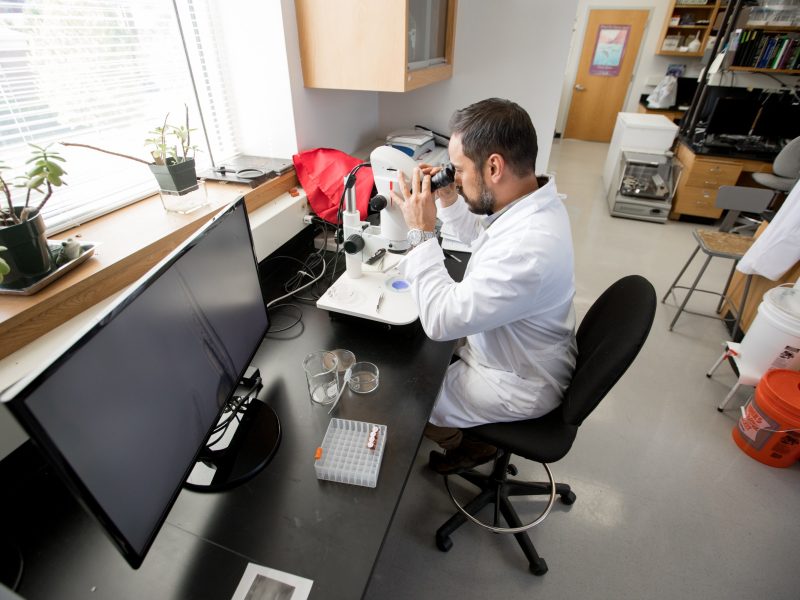 A person in a white lab coat sitting at a desk, using a computer and desk tools in what appears to be an office or laboratory setting. Several plants and other items are visible in the room.