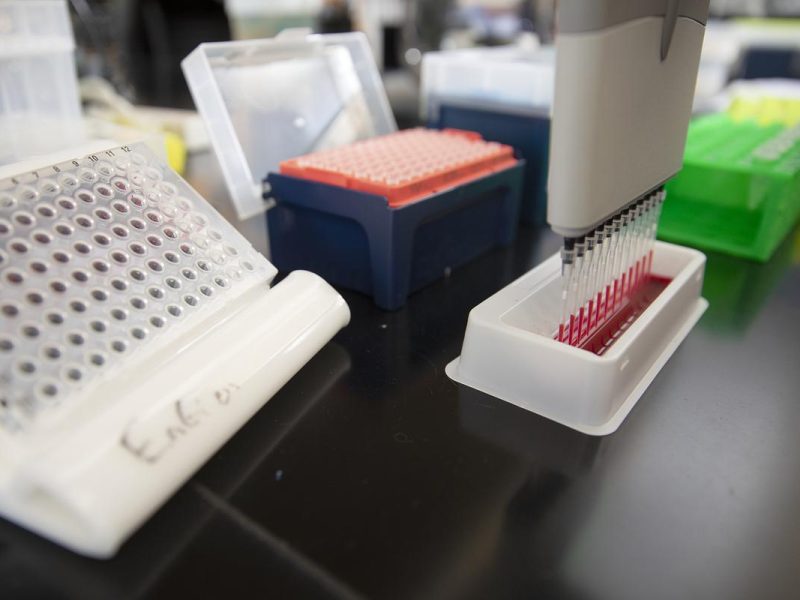 Multiple pieces of lab equipment sitting on a work table.