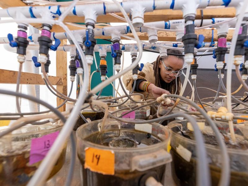 A person working on a complex mechanical or electronic device, surrounded by various tools and components.