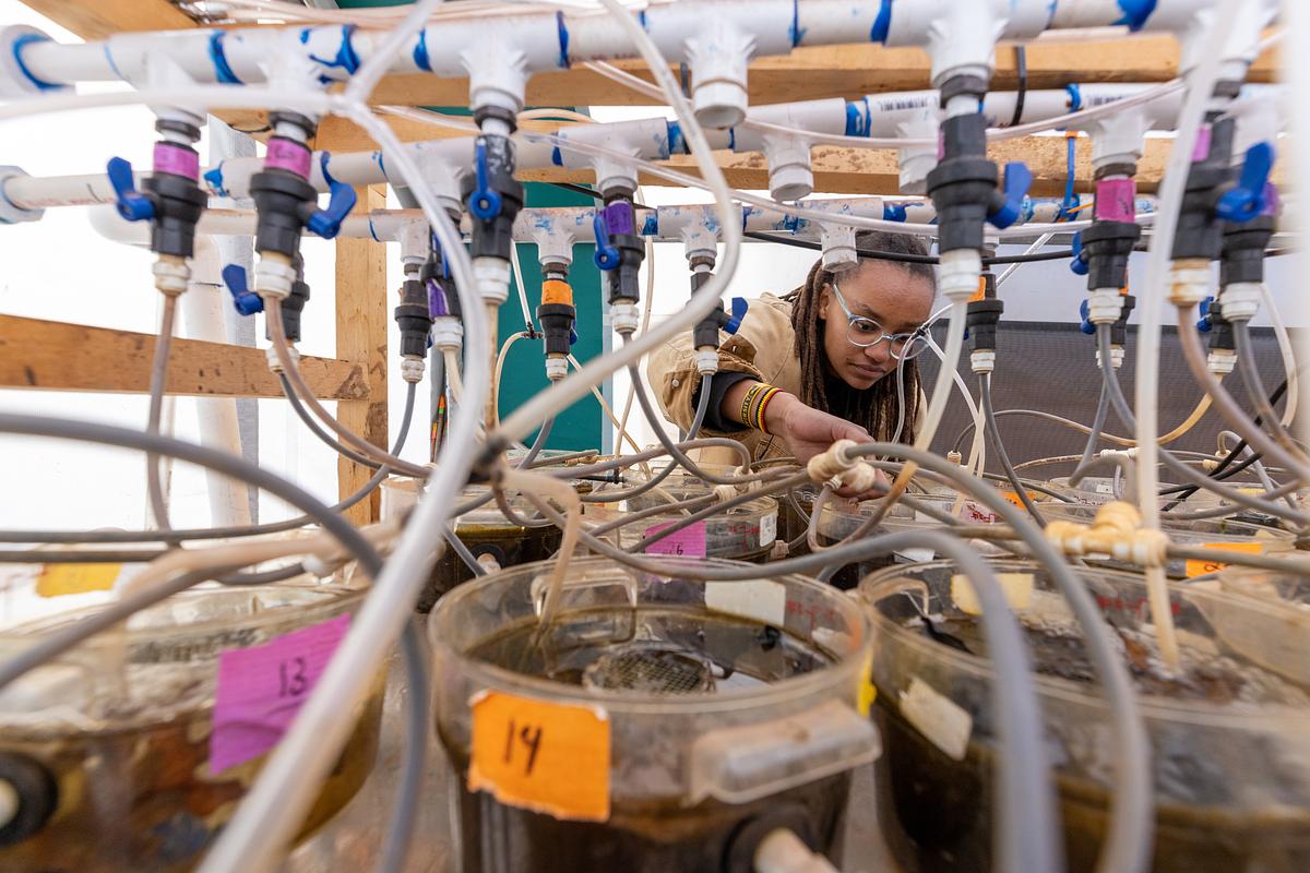 Limited Submission funding process - NAU Research