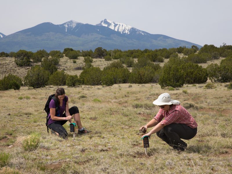 Alternative Text Two people crouched in a field, examining something on the ground, with mountains visible in the background.