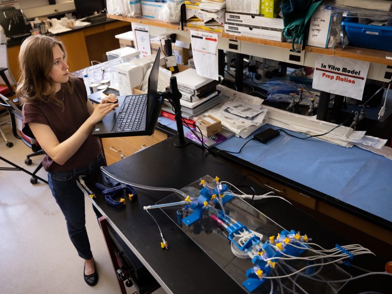 Person in a lab using a computer. Desk contains various office supplies and equipment, including a model or prototype of a complex mechanical or electronic device.