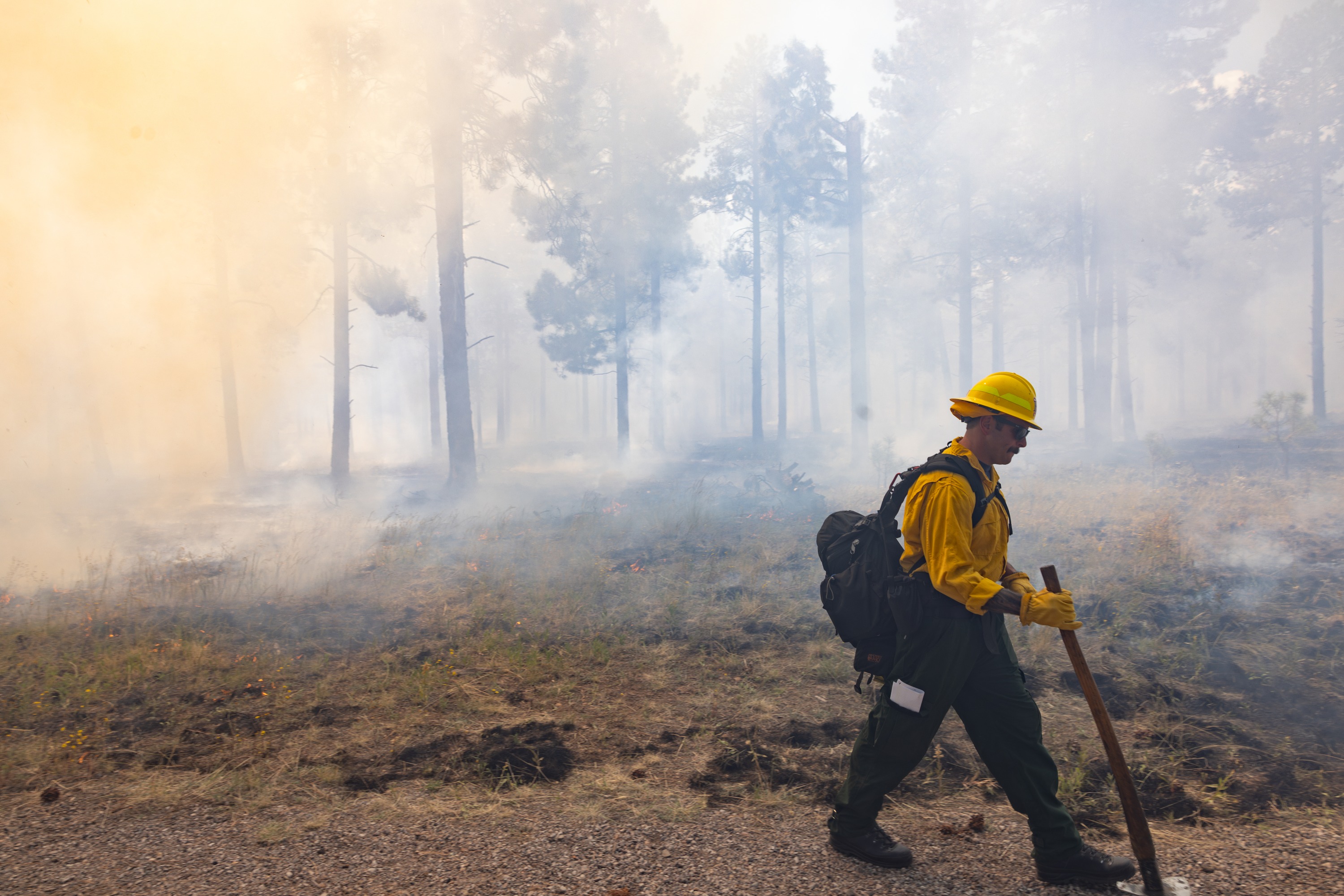 A person wearing a yellow hard hat and a black backpack standing in a forest with smoke and fog in the background.
