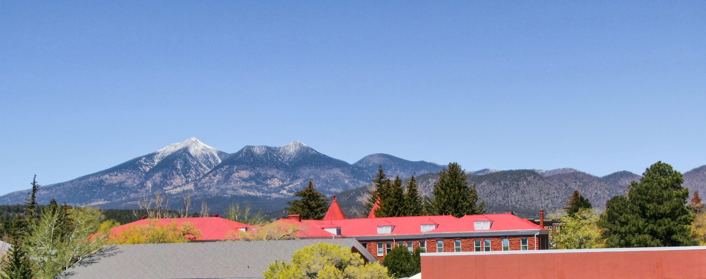 Landscape photo of the San Francisco Peaks.