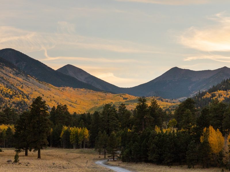Flagstaff meadow with trees and mountains.