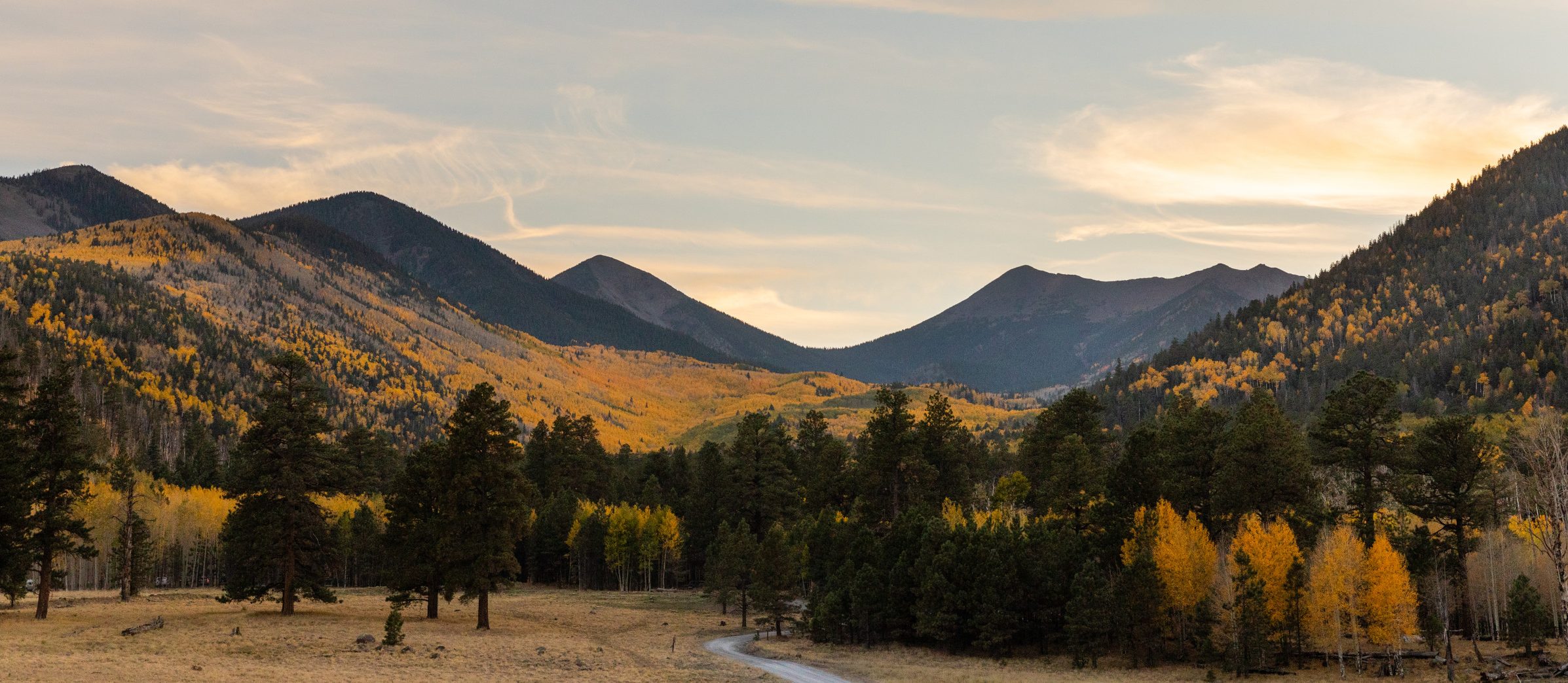 Flagstaff meadow with trees and mountains.