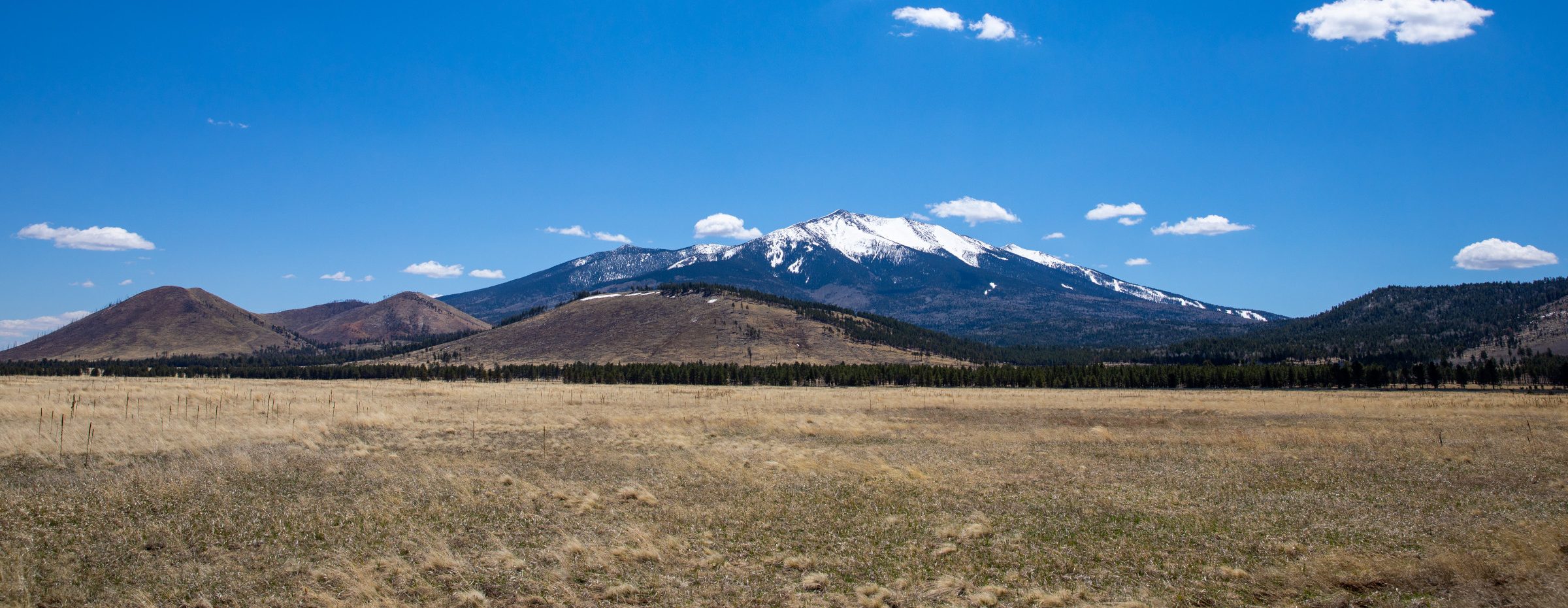 Landscape photo of the San Francisco Peaks.