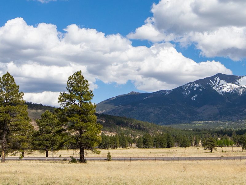 View of the mountains in Flagstaff.