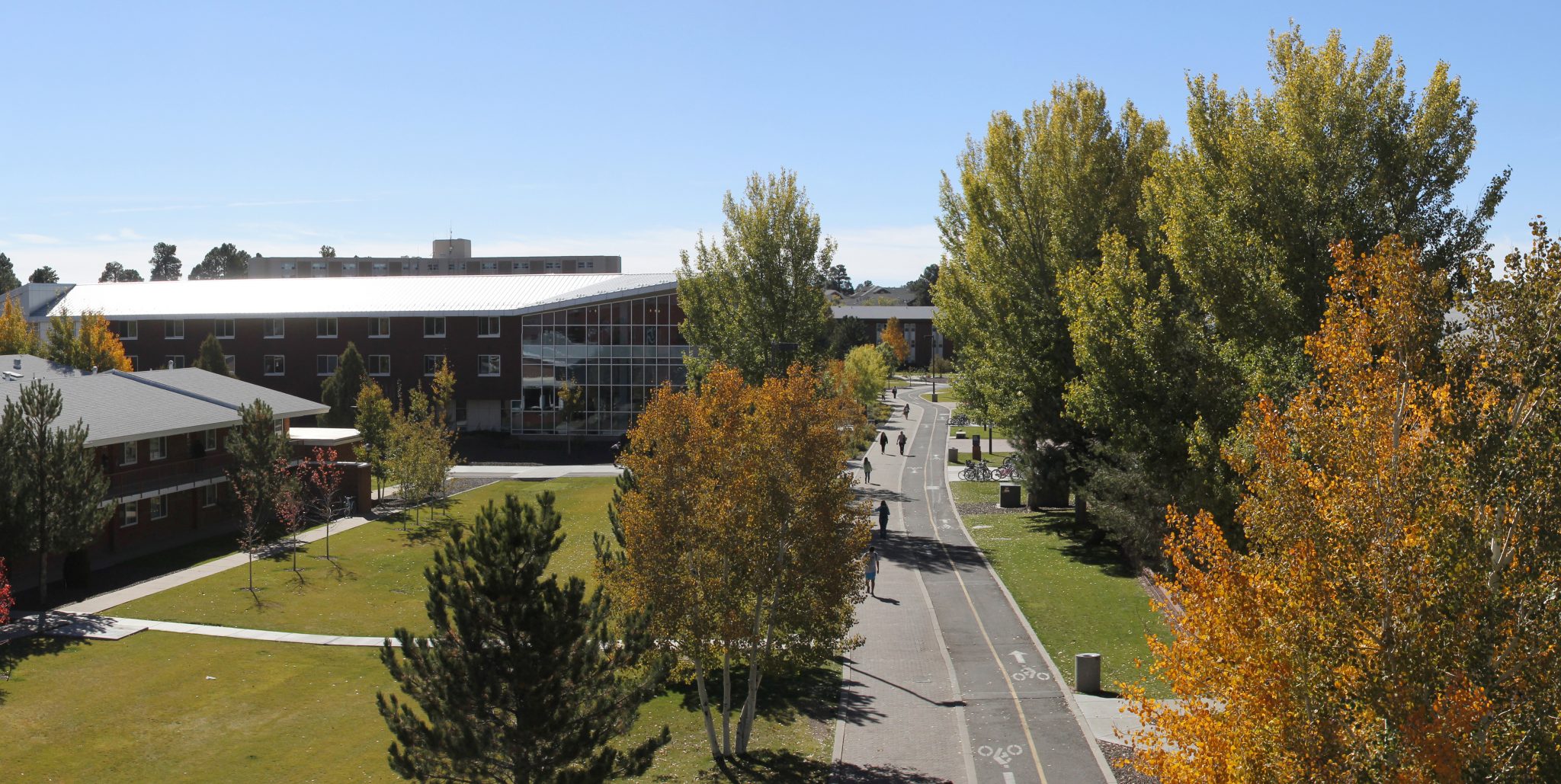 COERC Service Request Forms | College of Education