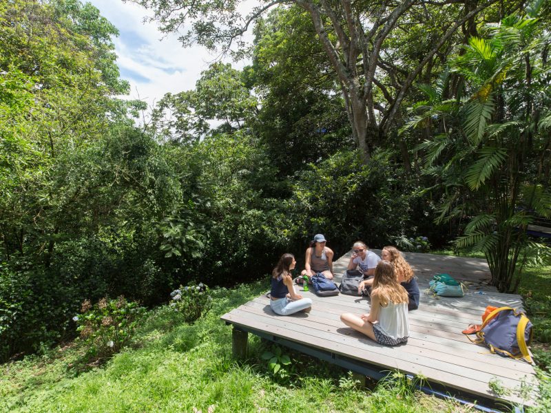 Group of N A U students sitting outside on a wooden deck.