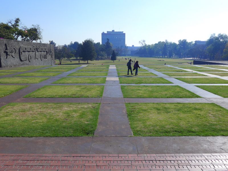 A view of a walkway through a grass field