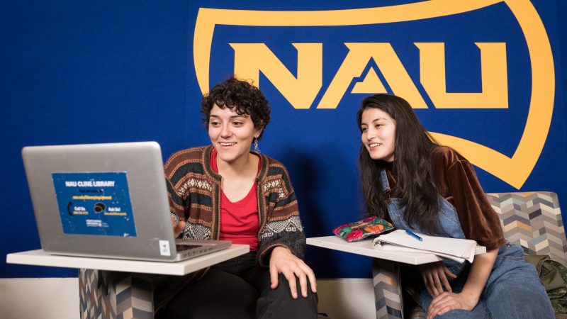 Two students sitting at desks while collaborating in front of an N A U logo.