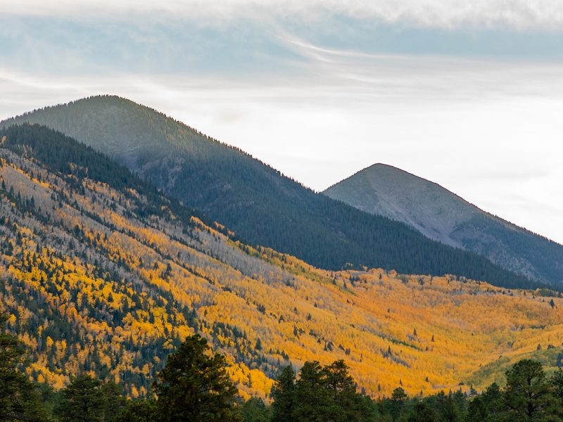 Lockett Meadow.
