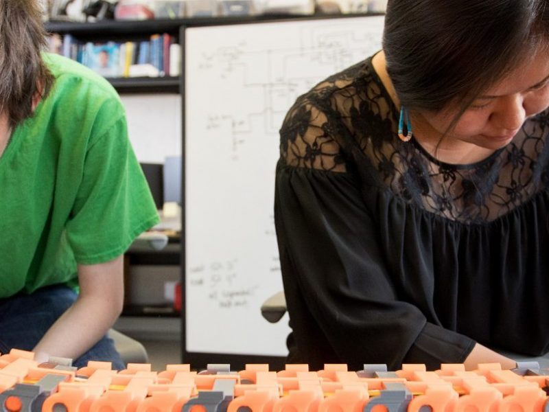 Students working together in a lab.