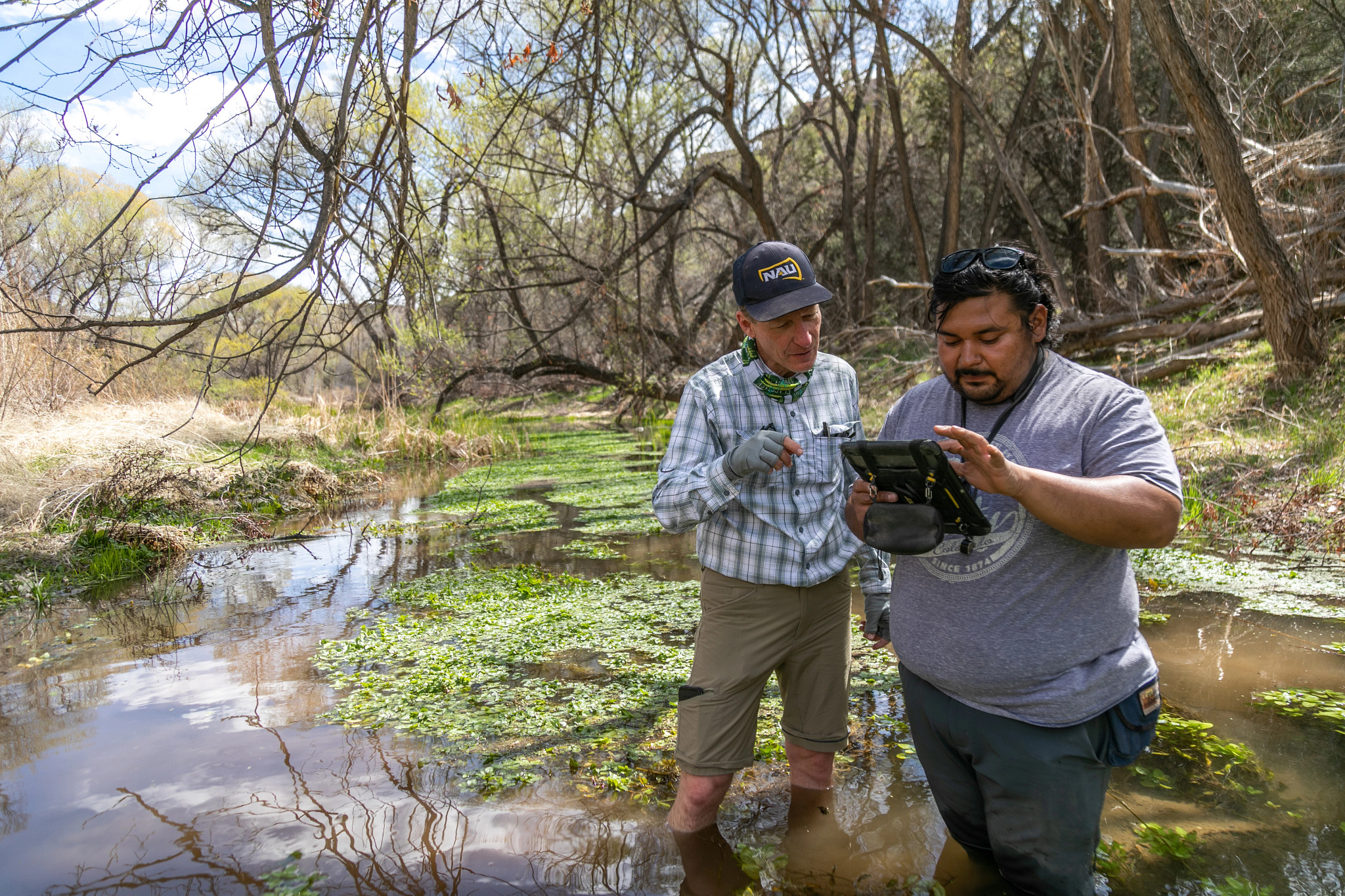 Partners | Environment, Forestry, & Natural Sciences