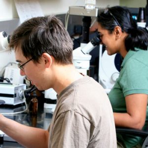 Three students in lab looking through microscopes.