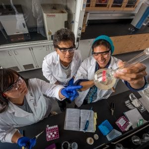 Students and professor using equipment in lab.