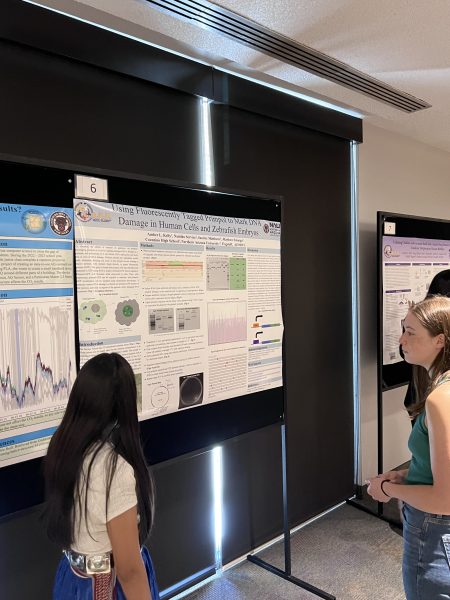 Poster presentations.