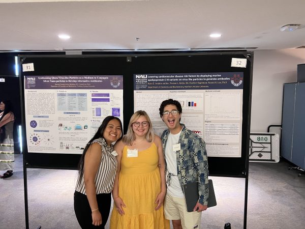 Poster presentations.