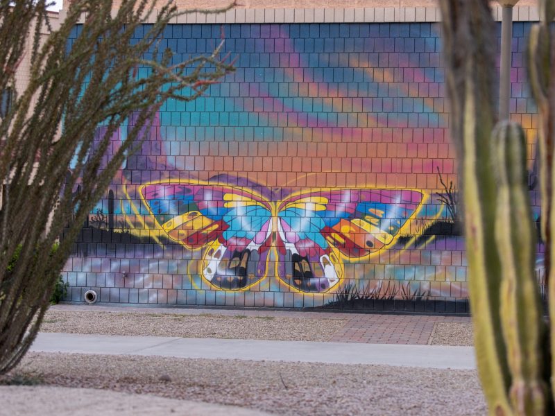 N A U–Yuma butterfly mural.