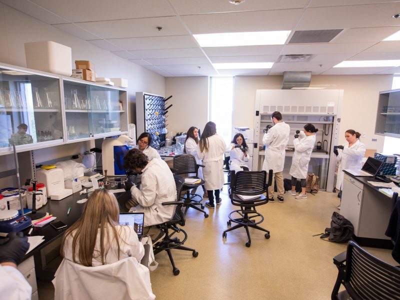 N A U–Yuma genetica lab.