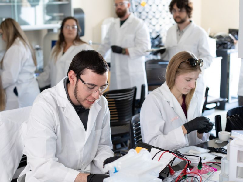 N A U&ndash;Yuma students in genetics lab.